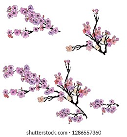 Free hand Sakura flower vector set, Beautiful line art Peach blossom isolate on white background