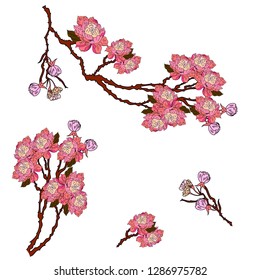 Free hand Sakura flower vector set, Beautiful line art Peach blossom isolate on white background