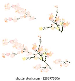 Free hand Sakura flower vector set, Beautiful line art Peach blossom isolate on white background