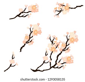 Free hand Sakura flower vector set, Beautiful line art Peach blossom isolate on white background