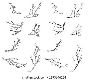 Free hand Sakura flower vector set, Beautiful line art Peach blossom isolate on white background.