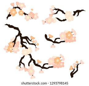 Free hand Sakura flower vector set, Beautiful line art Peach blossom isolate on white background.