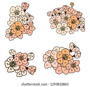 Free hand Sakura flower vector set, Beautiful line art Peach blossom with bouquet isolate on white background.