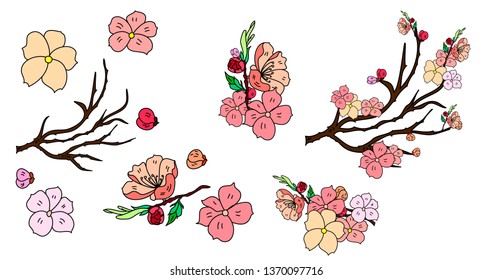 Free hand Sakura flower vector set, Beautiful line art Peach blossom isolate on white background