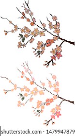 Free hand Sakura flower vector set, Beautiful line art Peach blossom isolate on white background.Branch of cherry blossoms. .Traditional symbol of spring in japan.graphic cherry in the shape of circle