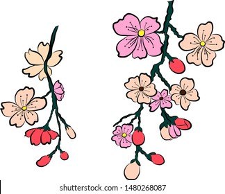 Free hand Sakura flower vector set, Beautiful line art Peach blossom isolate on white background.Traditional symbol of spring in japan.graphic cherry in the shape of circle for backdrops.