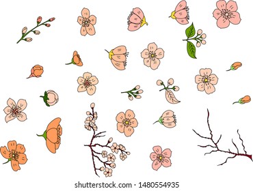 Free hand Sakura flower vector set, Beautiful line art Peach blossom isolate on white background.Traditional symbol of spring in japan.graphic cherry in the shape of circle for backdrops.