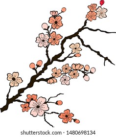 Free hand Sakura flower vector set, Beautiful line art Peach blossom isolate on white background.Traditional symbol of spring in japan.graphic cherry in the shape of circle for backdrops.