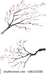 Free hand Sakura flower vector set, Beautiful line art Peach blossom isolate on white background.Traditional symbol of spring in japan.graphic cherry in the shape of circle for backdrops.