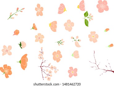 Free hand Sakura flower vector set, Beautiful line art Peach blossom isolate on white background.Traditional symbol of spring in japan.graphic cherry in the shape of circle for backdrops.