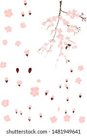 Free hand Sakura flower vector set, Beautiful line art Peach blossom isolate on white background.Traditional symbol of spring in japan.graphic cherry in the shape of circle for backdrops.