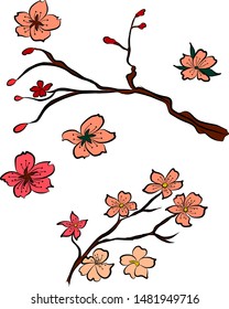 Free hand Sakura flower vector set, Beautiful line art Peach blossom isolate on white background.Traditional symbol of spring in japan.graphic cherry in the shape of circle for backdrops.