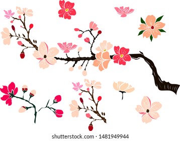 Free hand Sakura flower vector set, Beautiful line art Peach blossom isolate on white background.Traditional symbol of spring in japan.graphic cherry in the shape of circle for backdrops.