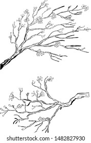 Free hand Sakura flower vector set, Beautiful line art Peach blossom isolate on white background.Traditional symbol of spring in japan.graphic cherry in the shape of circle for backdrops.