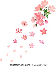 Free hand Sakura flower vector set, Beautiful line art Peach blossom isolate on white background