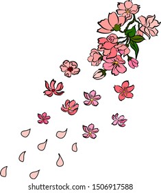 Free hand Sakura flower vector set, Beautiful line art Peach blossom isolate on white background.
