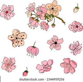 Free hand Sakura flower vector set, Beautiful line art Peach blossom isolate on white background.Branch of cherry blossom for painting on wallpaper or tattoo idea on background.
