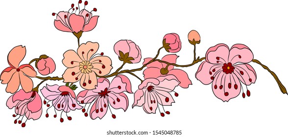 Free hand Sakura flower vector set, Beautiful line art Peach blossom isolate on white background.Branch of cherry blossom for painting on wallpaper or tattoo idea on background.