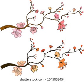 Free hand Sakura flower vector set, Beautiful line art Peach blossom isolate on white background.Branch of cherry blossom for painting on wallpaper or tattoo idea on background.