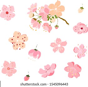Free hand Sakura flower vector set, Beautiful line art Peach blossom isolate on white background. Branch of cherry blossom for painting on wallpaper or tattoo idea on background. pattern, book cover.