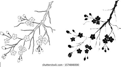 Free hand Sakura flower vector set, Beautiful line art Peach blossom isolate on white background