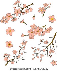 Free hand Sakura flower vector set, Beautiful line art Peach blossom isolate on white background