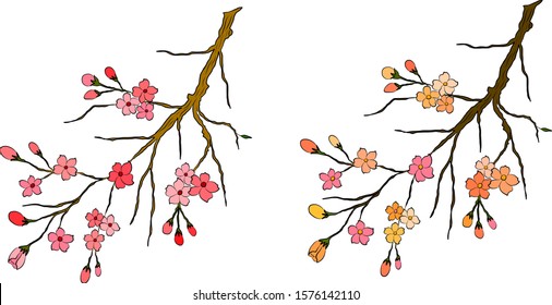 Free hand Sakura flower vector set, Beautiful line art Peach blossom isolate on white background