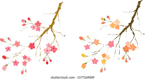 Free hand Sakura flower vector set, Beautiful line art Peach blossom isolate on white background