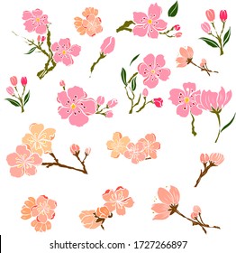 Conjunto libre de vectores de flores Sakura, bella línea de arte Peach flom isolar sobre fondo blanco. Rama de flor de cerezo para pintar sobre papel pintado o idea de tatuaje sobre fondo.