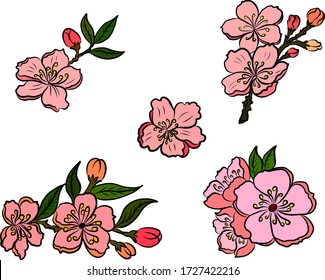 Free hand Sakura flower vector set, Beautiful line art Peach blossom isolate on white background.Branch of cherry blossom for painting on wallpaper or tattoo idea on background.