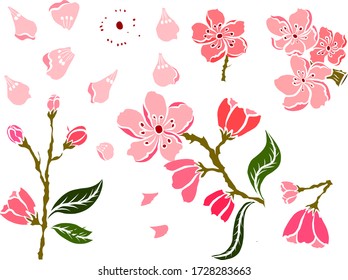 Conjunto libre de vectores de flores Sakura, bella línea de arte Peach flom isolar sobre fondo blanco. Rama de flor de cerezo para pintar sobre papel pintado o idea de tatuaje sobre fondo.