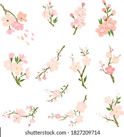 Free hand Sakura flower vector set,Beautiful line art Peach blossom isolate on white background.