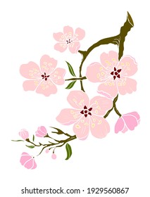 Free hand Sakura flower vector set, Beautiful line art Peach blossom isolate on white background.Cherry blossom illustration for doodle art on background.