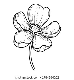 Free hand Sakura flower vector, Beautiful line art Peach blossom isolate on white background. Spring japan flower. Realistic hand drawn style.