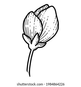 Free hand Sakura flower vector, Beautiful line art Peach blossom isolate on white background. Spring japan flower. Realistic hand drawn style.