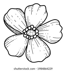 Free hand Sakura flower vector, Beautiful line art Peach blossom isolate on white background. Spring japan flower. Realistic hand drawn style.