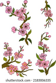 Free Hand Sakura Flower Vector Set, Beautiful Line Art Peach Blossom Isolate On White Background.Branch Of Cherry Blossom For Printing On Wallpapers And Sticker.Japanese Flower.Golden Line Art.