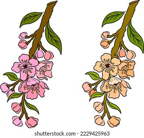 Free hand Sakura flower vector set, Beautiful line art Peach blossom isolate on white background.Branch of cherry blossom for printing on wallpapers and sticker.Japanese flower.Golden line art.