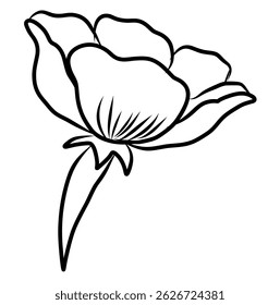 Free hand Sakura flower vector set, Beautiful line art Peach blossom isolate on white background.Cherry blossom illustration set.Element for weding card or printing on backdrop.