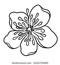 Free hand Sakura flower vector set, Beautiful line art Peach blossom isolate on white background.Cherry blossom illustration set.Element for weding card or printing on backdrop.