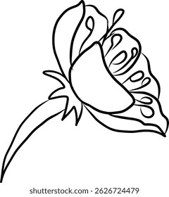 Freie Hand Sakura Blume Vektor-Set, Schöne Linie Kunst Pfirsichblüte einzeln auf weißem Hintergrund.Kirschblüte Illustration Set.Element für Hochzeitskarte oder Druck auf der Kulisse.