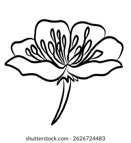 Free hand Sakura flower vector set, Beautiful line art Peach blossom isolate on white background.Cherry blossom illustration set.Element for weding card or printing on backdrop.