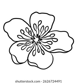 Free hand Sakura flower vector set, Beautiful line art Peach blossom isolate on white background.Cherry blossom illustration set.Element for weding card or printing on backdrop.