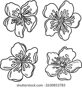 Free hand Sakura flower vector set, Beautiful line art Peach blossom isolate on white background.Cherry blossom illustration set.Element for weding card or printing on backdrop.