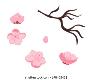 Free hand Sakura flower vector set, Beautiful line art Peach blossom 