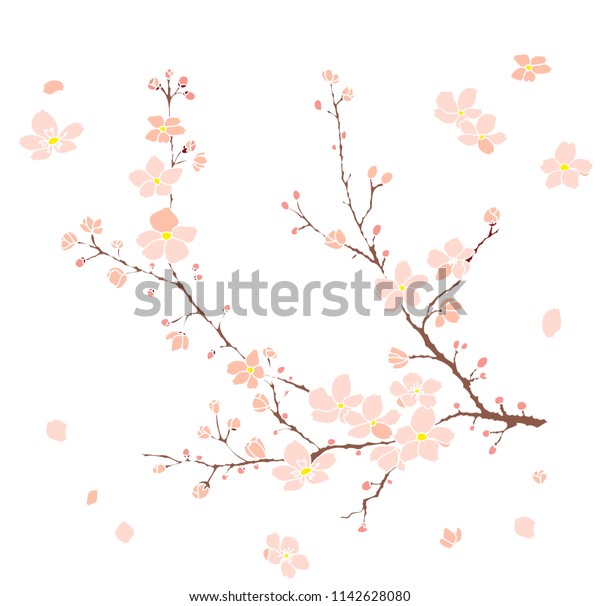 Free hand Sakura flower\
vector set, Beautiful line art Peach blossom isolate on white\
background