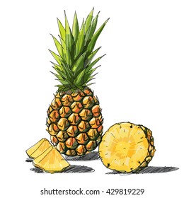 Free hand sketch, Pineapple and a half of pineapple, fruit, transparent, Vector, transparent