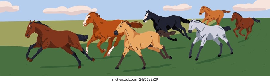 Free horses running, galloping on countryside field. Herd enjoying freedom of country pasture. Unbridled untamed stallions group in action in rural nature landscape panorama. Flat vector illustration