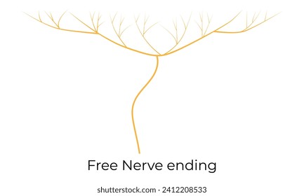 Free Nerve Ending Science Design Vector Illustration Diagram