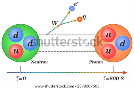 A free neutron is a neutron that is not bounded in a nucleus. The free neutron is, unlike a bounded neutron, subject to radioactive beta decay.